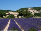 photo du département des Alpes-de-Haute-Provence