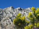 photo de la sainte-victoire chere au peintre cézanne et embleme de la ville d'aix-en-provence