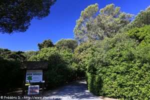le jardin botanique de Sainte-Maxime