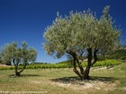 photo de la région Provence-Alpes-Côte d'Azur