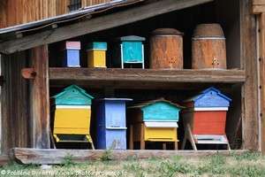 musée de l'apiculture de Molines en Queyras