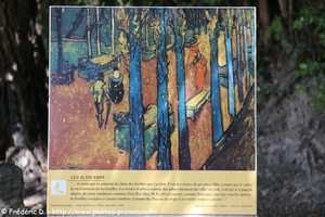 Van Gogh et les Alyscamps