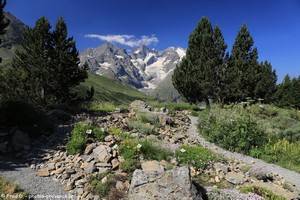 le Jardin Alpin face au glacier du Lautaret