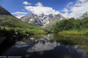 le Jardin Alpin face au glacier du Lautaret