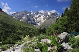 le Jardin Alpin face au glacier du Lautaret