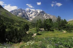 le Jardin Alpin face au glacier du Lautaret