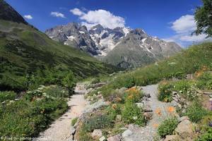 le Jardin Alpin face au glacier du Lautaret