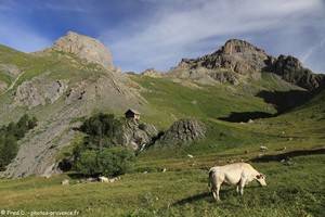 la Roche Robert et la Roche Colombe