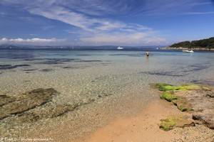 plage de la Treille &agrave; Porquerolles