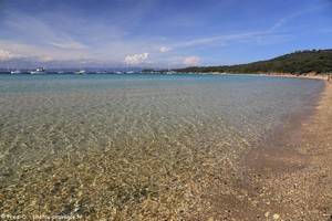 plage de la Courtade &agrave; Porquerolles