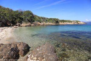 plage de l'Aiguade &agrave; Porquerolles