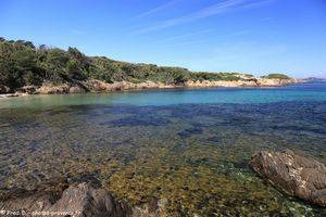 plage de l'Aiguade &agrave; Porquerolles
