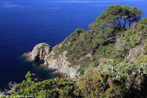 la pointe du Tamaris