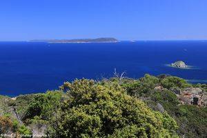le Gros Sarranier et vue sur l'&icirc;le de Port-Cros