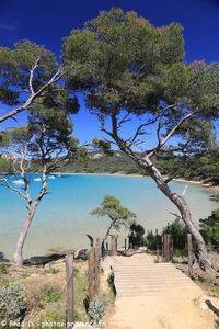 plage Notre-Dame &agrave; Porquerolles