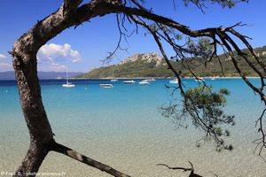 plage Notre-Dame &agrave; Porquerolles