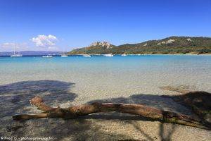 plage Notre-Dame &agrave; Porquerolles