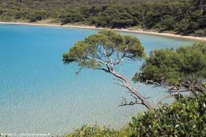 plage Notre-Dame &agrave; Porquerolles