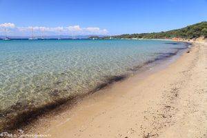 plage de la Courtade &agrave; Porquerolles