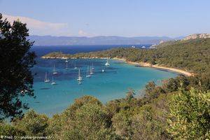 plage de la Courtade &agrave; Porquerolles