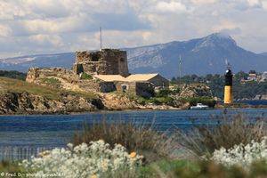 le fort du Petit Langoustier