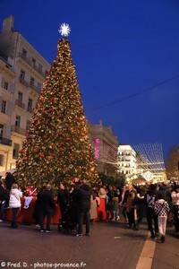 sapin de No&euml;l &agrave; Marseille
