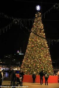 sapin de No&euml;l &agrave; Marseille