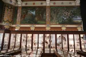 la salle de Provence du muséum d'histoire naturelle de marseille