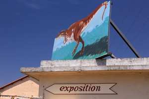 musée des dinosaures à Fox-Amphoux