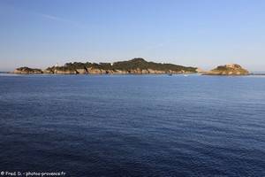 &icirc;le du Petit Ribaud, &icirc;le du Grand Ribaud