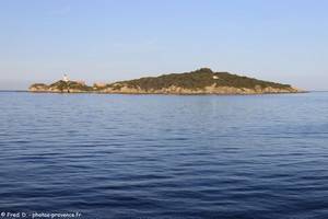 &icirc;le du Grand Ribaud